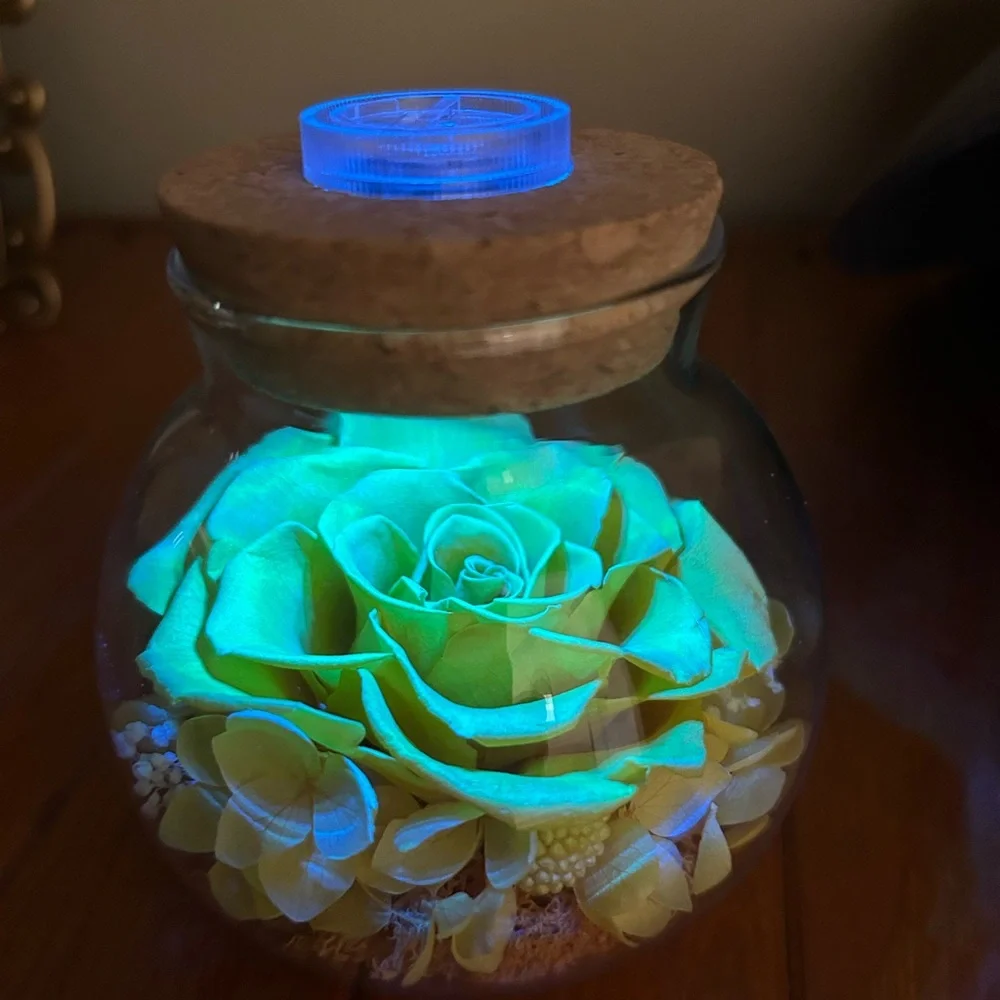 NWT Roliys Preserved/Eternal Rose